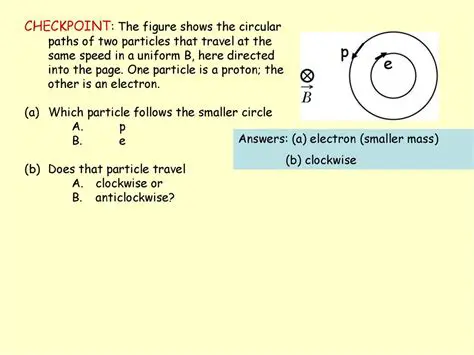 Calculating the Area of the Circular Paths or Rings