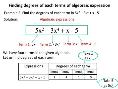 Calculating the Degree of a Term