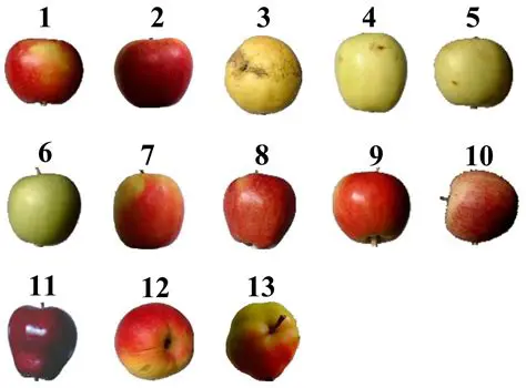 Calculating the Number of Apples Each Year