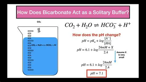 Calculating the pH of Sodium Benzoate
