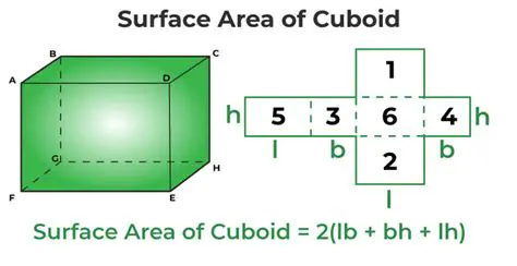 Calculating the Surface Area of a Cuboid