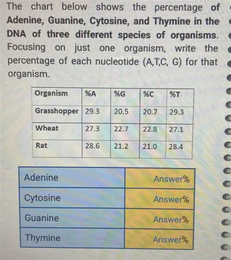 Calculating Thymine and Cytosine Percentages