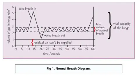 Calculating Ventilation Rate