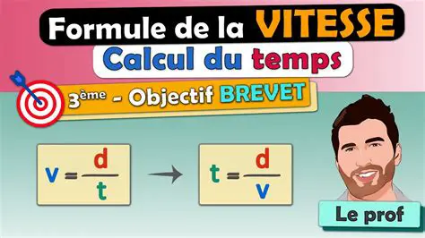 Calculer la vitesse de la tortue