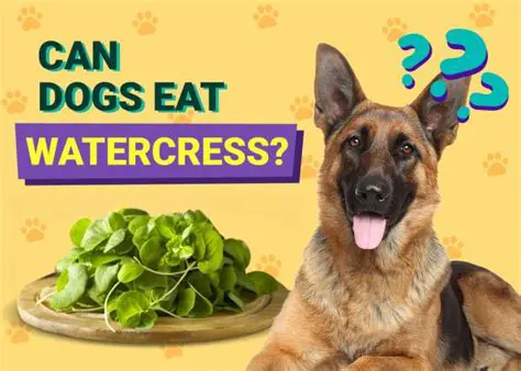 Can Dogs Eat Hot Dogs? A Comprehensive Guide for Pet Owners