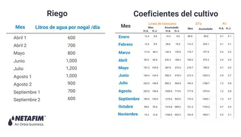 Cantidad de agua que se agrega al jugo