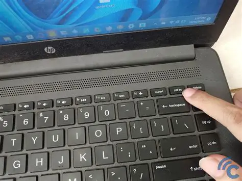 Cara Screenshot Cari The Greenlake Di Google