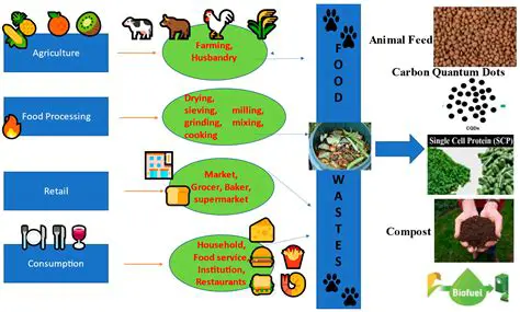Carbon Utilization in Living Organisms