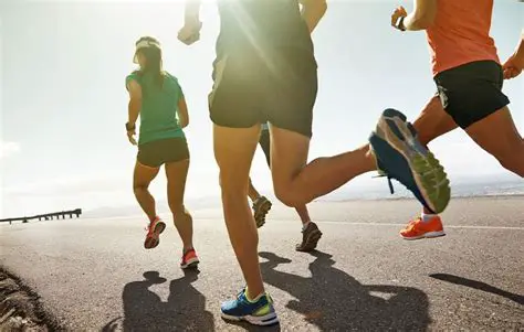 Cardiorespiratory Training