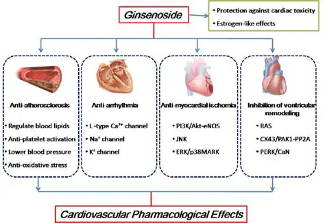 Cardiovascular protective effects