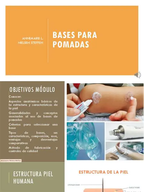 Categorias de Bases para Pomadas