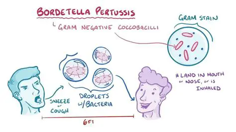 Causes of Bordetella Pertussis