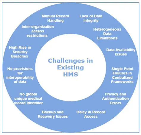 Challenges and Limitations of HMIS