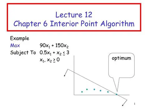 Challenges in Applying the Interior Point Algorithm