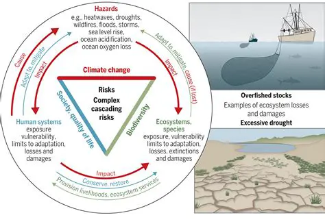 Changes in Ecosystem Processes