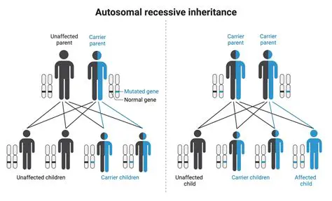 Characteristics of Autosomal Recessive Traits in Pedigrees