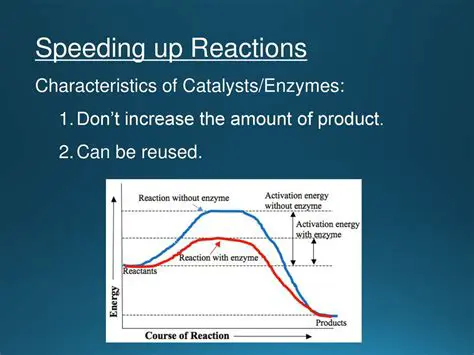 Characteristics of Catalysts
