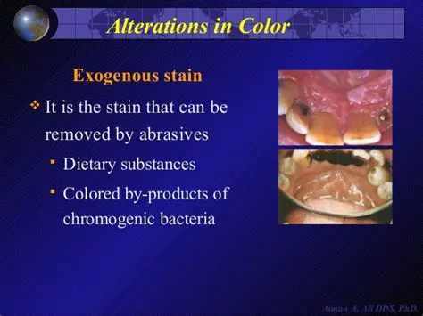 Characteristics of Endogenous Stains