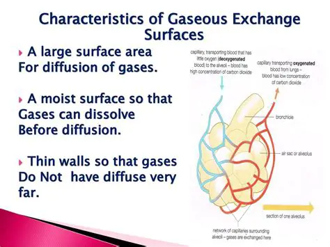 Characteristics of Gaseous Solutions