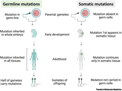 Characteristics of Germline Mutations