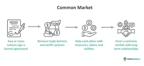 Characteristics of Goods in a Common Market