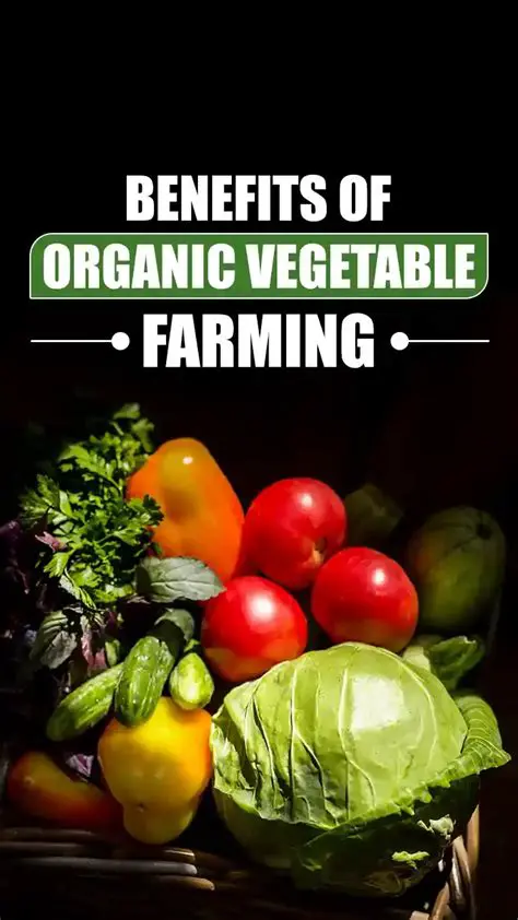 Characteristics of Organic Vegetable Consumer