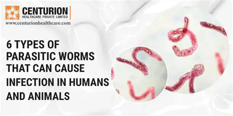 Characteristics of Parasitic Worms