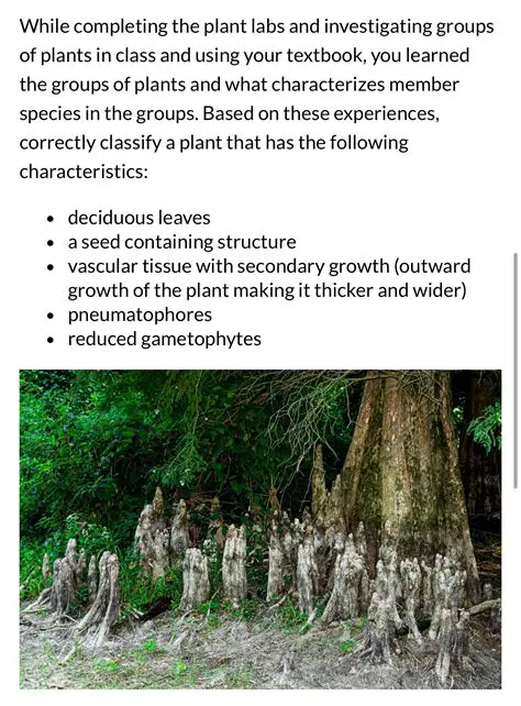 Characteristics of Pneumatophores