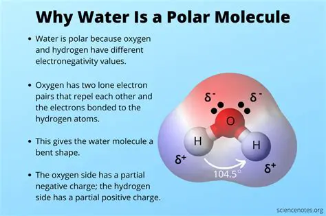 Characteristics of Polar Molecules