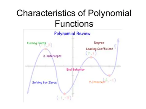 Characteristics of Polynomial Functions