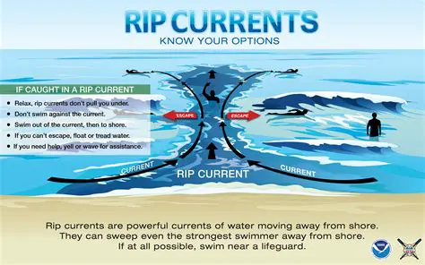 Characteristics of Rip Currents