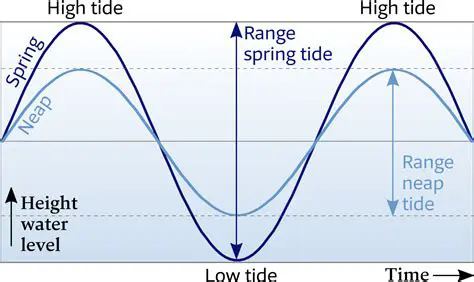 Characteristics of Spring Tides