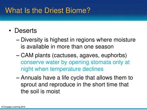 Characteristics of the Driest Biome