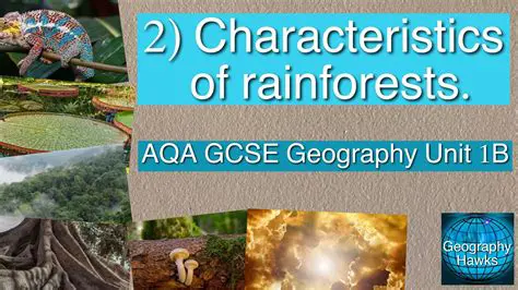 Characteristics of Tropical Rainforests