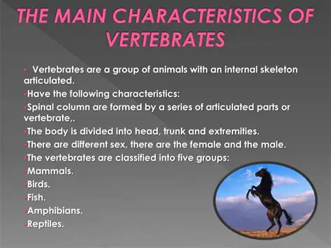 Characteristics of Vertebrates