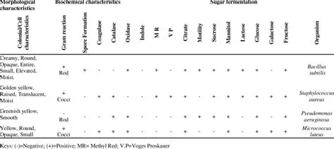 Characterization of Bacterial Isolates