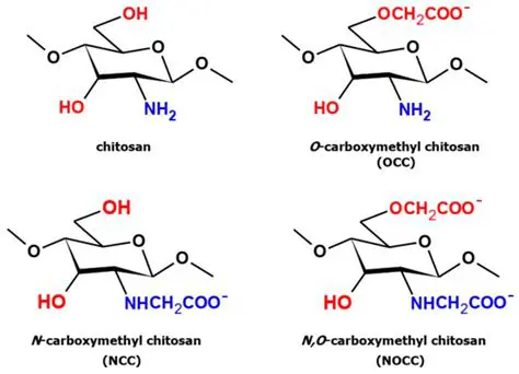 Characterization of Carboxymethyl Polysaccharides