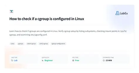 Check cgroup Configuration