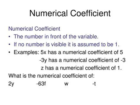 Check for a numerical coefficient