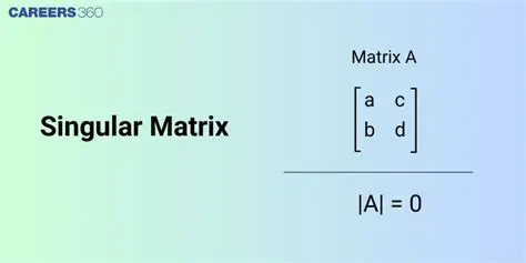 Check for singular matrices