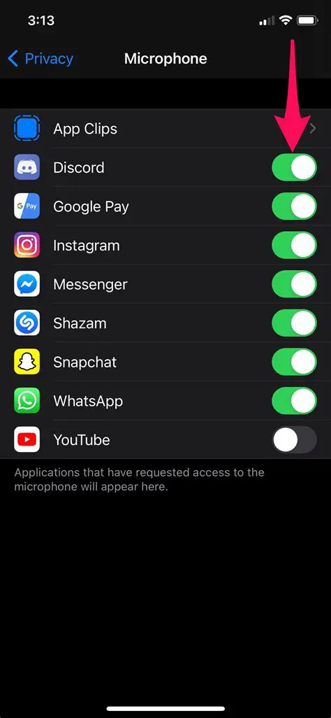 Check microphone permissions