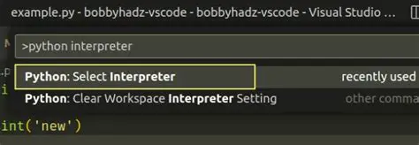 Check the Python interpreter