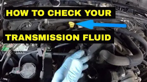 Check the Transmission Fluid