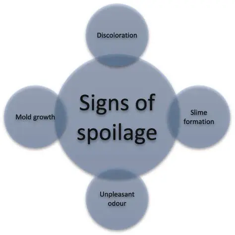 Checking for Other Signs of Spoilage