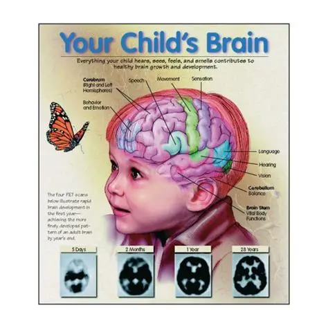 Child Abuse and Brain Development