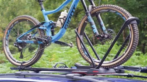 Choosing the Right Bike Rack