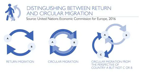 Circular Migration Patterns and Process