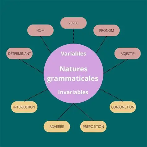 Classe grammaticale du mot quiproquo