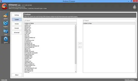 Clean Internet Explorer data