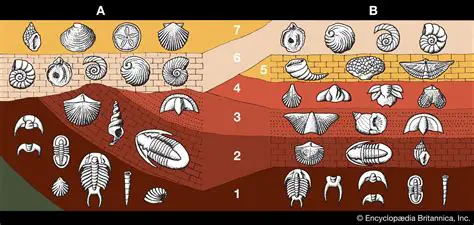 Climate Change and Fossils